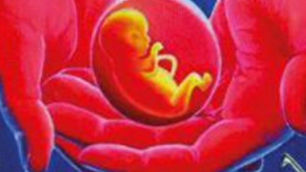 Fetus found in Farrukhnagar; report awaited