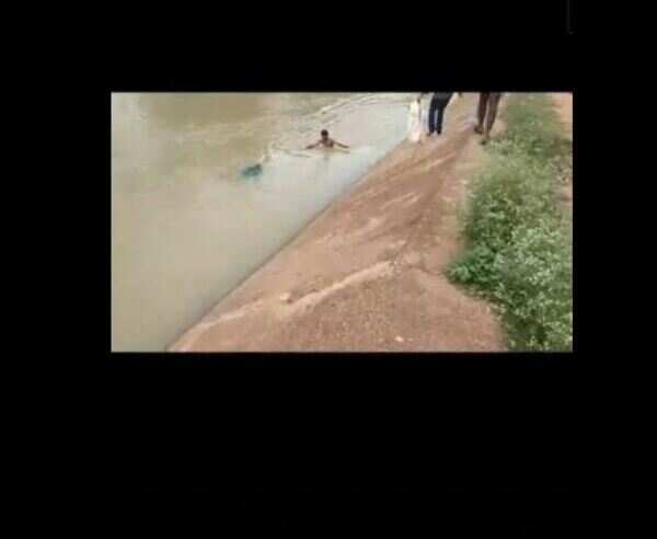 Karnataka: Locals rescue lady who accidentally fell into canal
