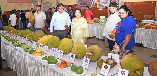 Jackfruit festival promotes consumption of local fruits