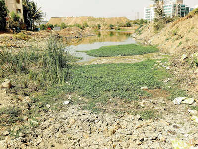 Bengaluru lakes segregated in 3 categories