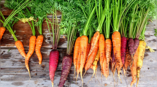 Black carrots