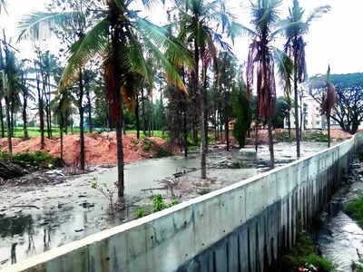 Sewage SOS: Hosapalya’s overflow predicament