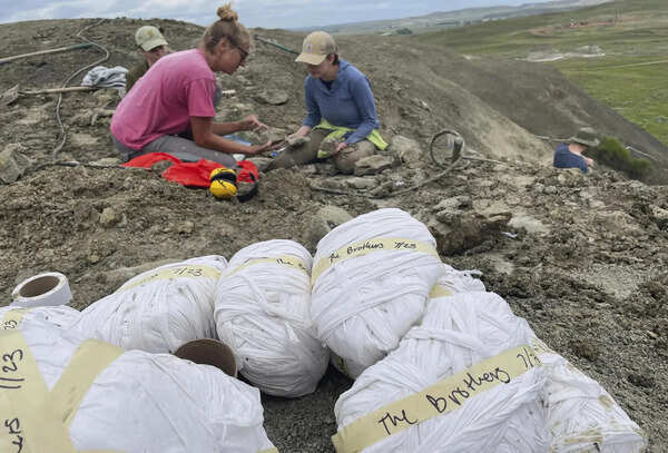 In 2022, three boys hiking in North Dakota found a rare fossil that turned out to be a teenage T. rex