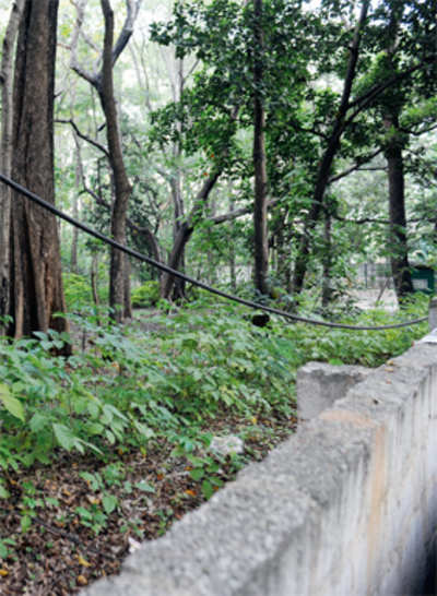Pristine forest at Sankey Tank could now make way for flats