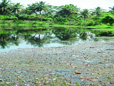 Cries heard: Kommaghatta Lake’s sewage woes are finally getting drained