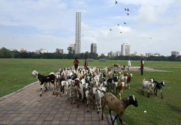 Pleasant till Tuesday, temp to rise again: Met