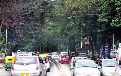 Inconsistencies in reports allude involvement of timber mafia in steel-flyover project
