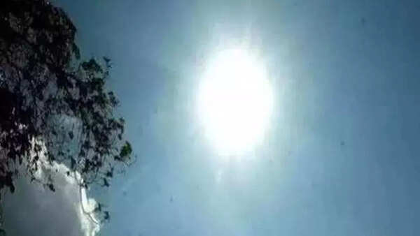 Bengaluru feels heat in Feb, IMD says conditions not abnormal