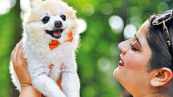Pet owners warned against lifestyle diseases