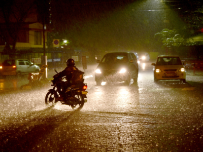 Cyclone Burevi: Rainfall claims seven lives in Tamil Nadu