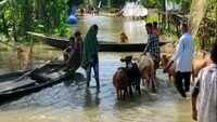 Normal life disrupted as flood waters enter villages in Assam’s Bongaigaon 