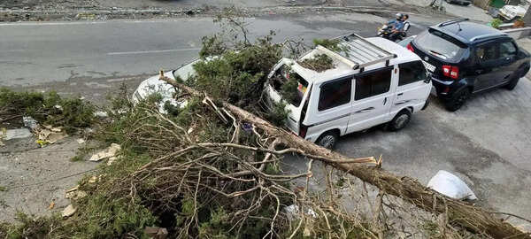 Storm uproots trees, damages buildings in Mussoorie and Dehradun