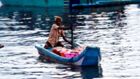 Chennai: Business returns to Kasimedu harbour after 60-day annual hiatus 