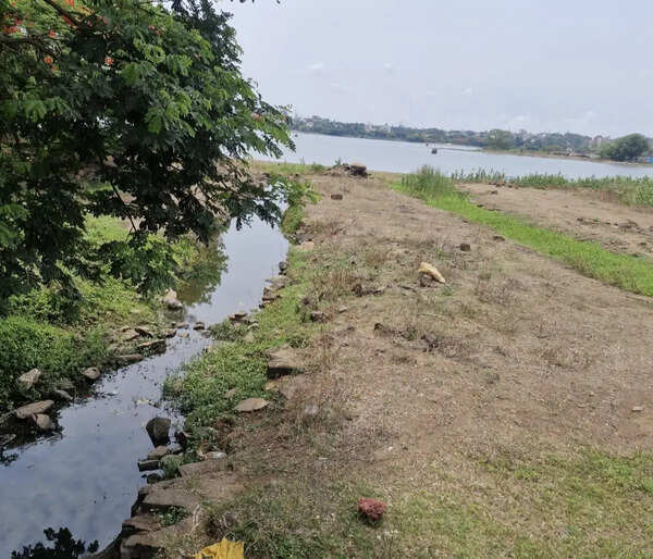 MPCB issues show-cause notice to KMC over Rankala Lake pollution