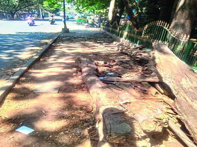 Broken footpaths near Cubbon Park raise safety concerns