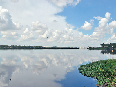 Bellandur on Cloud Nine: BDA invites bidders to prepare an action plan for rejuvenation of the lake