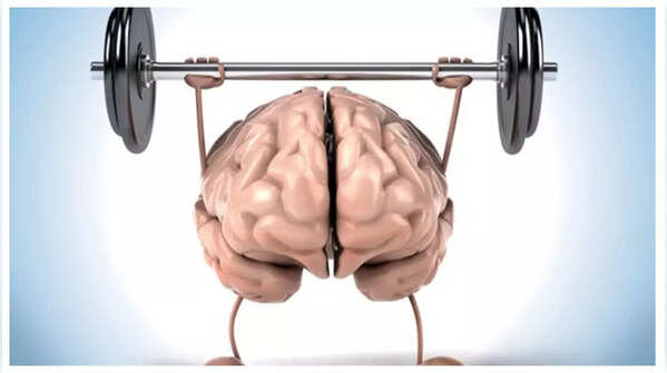 Boosts Brain Power/Can prevent brain disorders