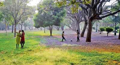 Tree of life, and of the world, in Bengaluru's Lalbagh soon