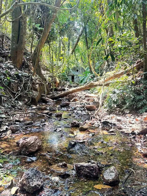 From pure fountain to fragile ruin: Old Goa’s water heritage may soon run dry