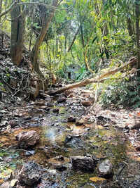 From pure fountain to fragile ruin: Old Goa&rsquo;s water heritage may soon run dry