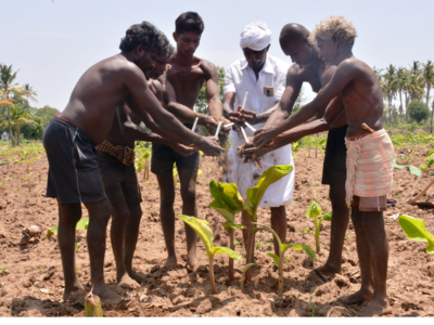Tamil Nadu farmers to double up as 'Aghoris' in Uttar Pradesh to take on PM Modi