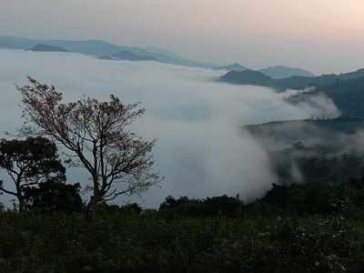 Winter advances in Andhra Pradesh’s misty hill station Lambasingi