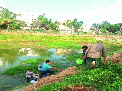 Saturdays are for nurturing nature at Varanasi Lake