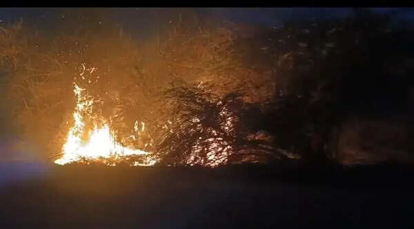 Wildfire in Jaisalmer razes thousands of acres, threatens defence establishments