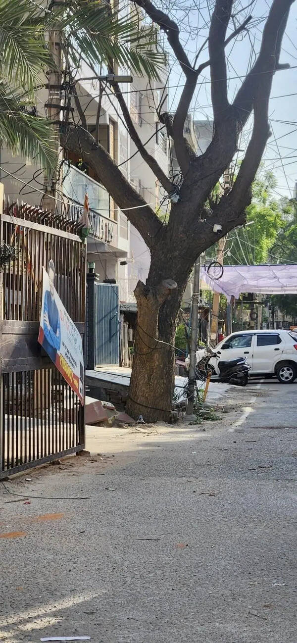 Fix old trees before monsoon, residents urge GMC