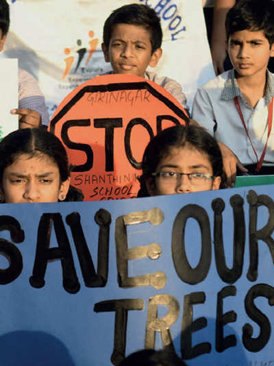 Notes from the 560 : Bengaluru stands up for its trees