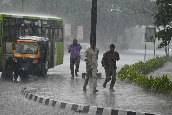 Light rain likely till April 6