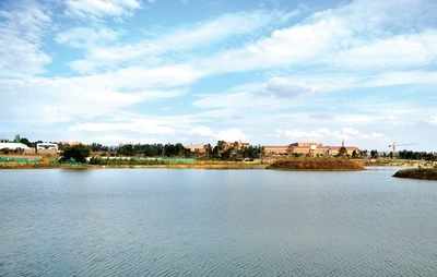 Meet the lake whisperer of Bengaluru: Ex-Vice Chairman of Tata Steel revives a 36-acre water body near Electronics City
