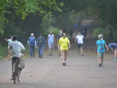 Mumbai: Sanjay Gandhi National Park reopens for tourists with Covid-19 protocols