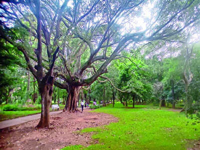 Don’t eat at Cubbon Park; help ‘reduce littering’