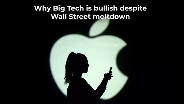 Why Big Tech is bullish despite Wall Street meltdown