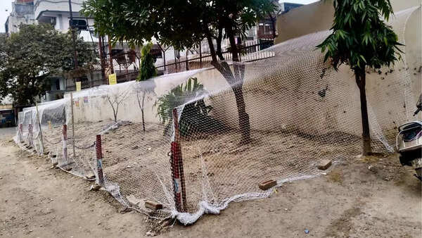 Ghaziabad society urges residents to stop pigeon feeding, cites health risks
