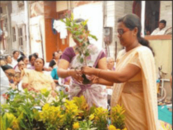 Family bids green adieu to 90-year-old matriarch