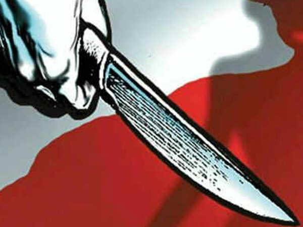 Elderly couple, help killed in Delhi's Vasant Vihar