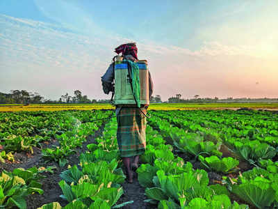 Should we eat our greens?