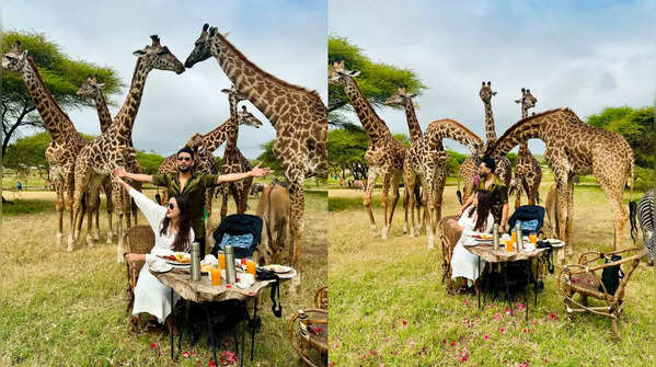 Breakfast with Giraffes: A Unique Experience