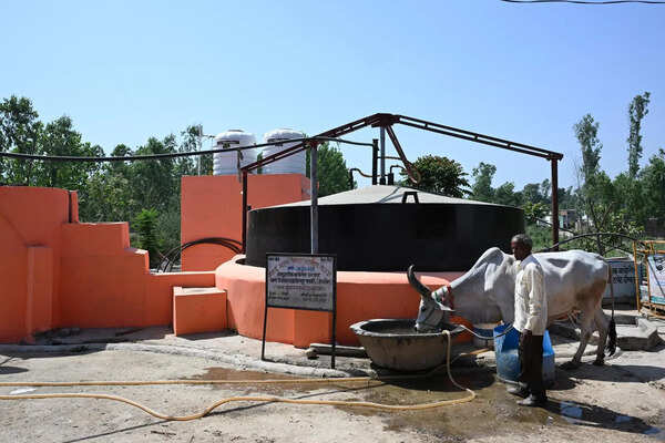 Amid LPG shortage, Haridwar village shows how biogas can power rural kitchens