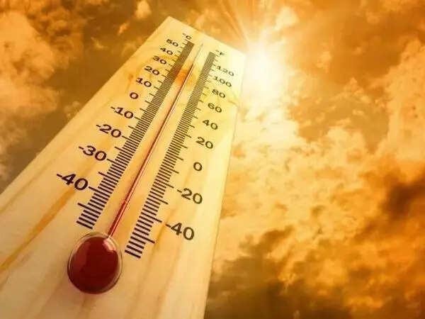 Heatwaves will become a major threat to Indian rice production, Ganges and Indus River basin face the most intense risk: FAO-WMO report