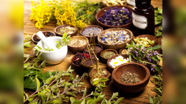 Top Herbs Used in Natural Medicine