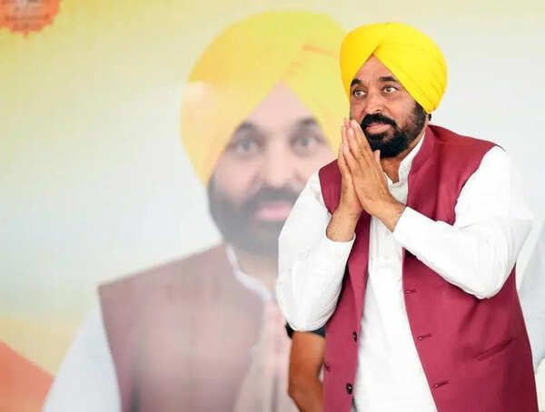 Punjab won’t bow to ED pressure tactics: Mann
