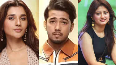 From Kanika Mann, ScoutOP to Amrapali Dubey, Arishfa Khan and more: Estimated net worth of popular Bigg Boss 20 contestants