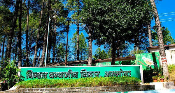 Scientific wildlife census begins in Binsar Sanctuary