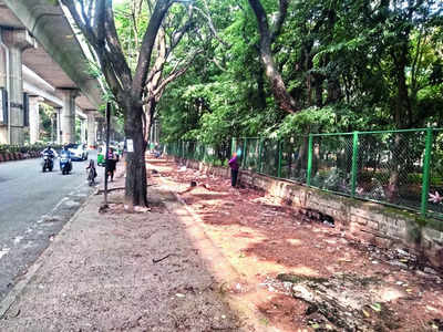 Is Jayanagar being left on road to ruin?