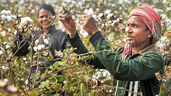 Why trade deals can’t help India become a major apparel exporter
