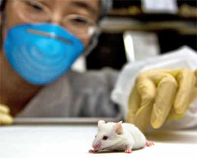 Boffins implant false memories in mice