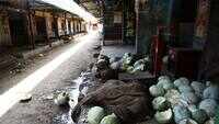 Koyambedu market fiasco: Tamil Nadu CM shirks responsibility, blames vendors for surge in COVID-19 cases 